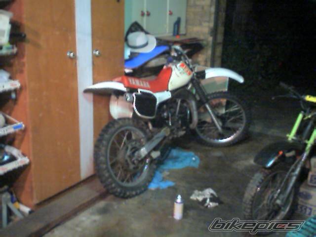 1984 YAMAHA YZ 125 | Picture 37672 motorcycle photo