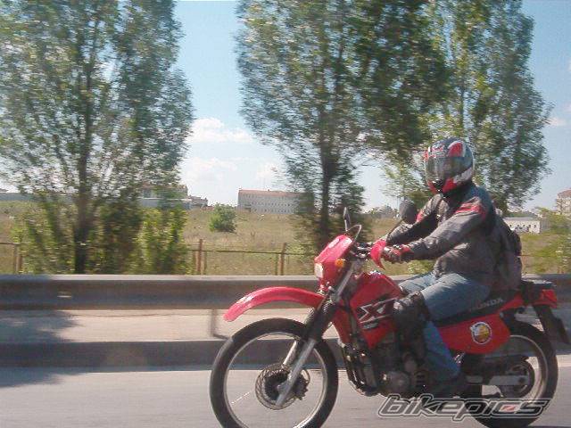 2004 HONDA XL 200 | Picture 376769 motorcycle photo