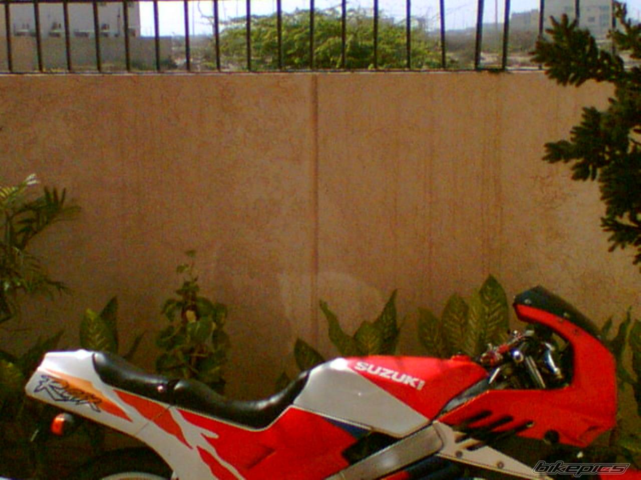 1987 SUZUKI GSX R 400 | Picture 377554 motorcycle photo