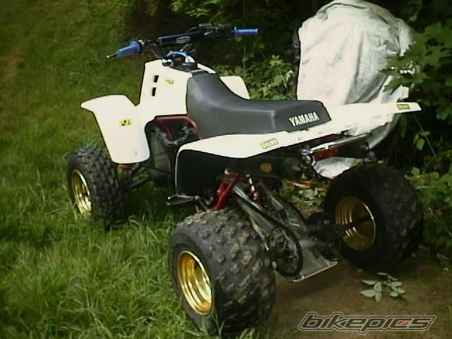 1987 YAMAHA BANSHEE | Picture 37803 motorcycle photo