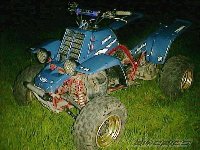 1987 YAMAHA BANSHEE | Picture 37804 motorcycle photo
