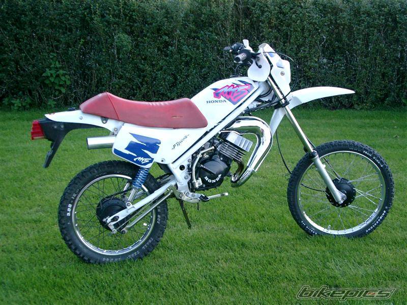 1994 HONDA MT5 | Picture 378242 motorcycle photo