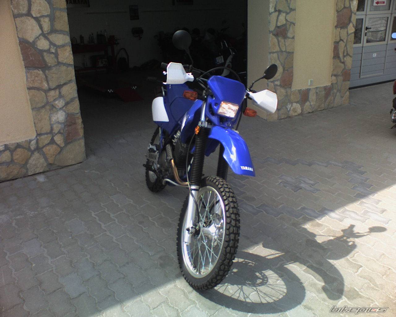 2004 YAMAHA TTR 250 | Picture 378274 motorcycle photo