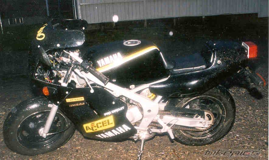 1991 YAMAHA YSR 50 | Picture 37906 motorcycle photo