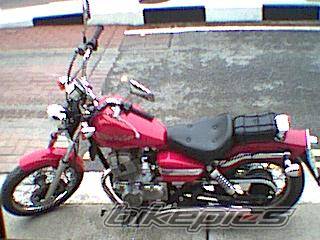 1999 HONDA CMX 250 | Picture 37962 motorcycle photo