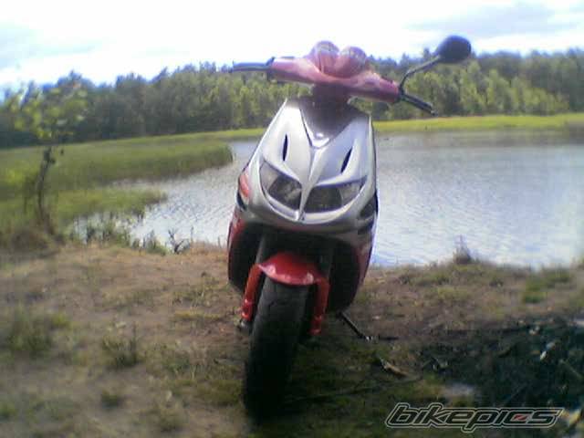 2002 DERBI PREDATOR | Picture 379748 motorcycle photo