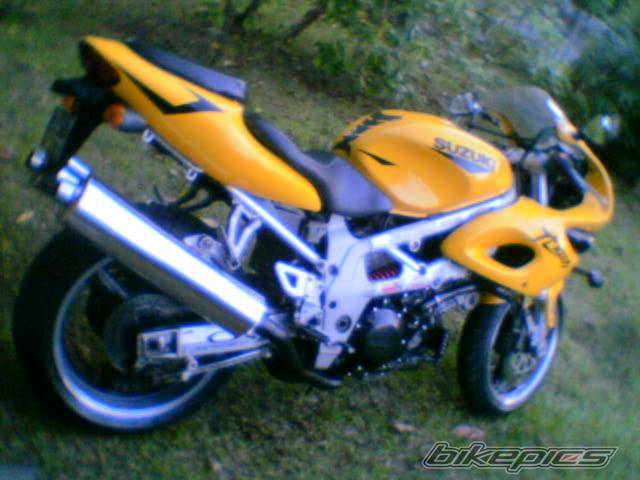 2004 SUZUKI TL1000S | Picture 379984 motorcycle photo
