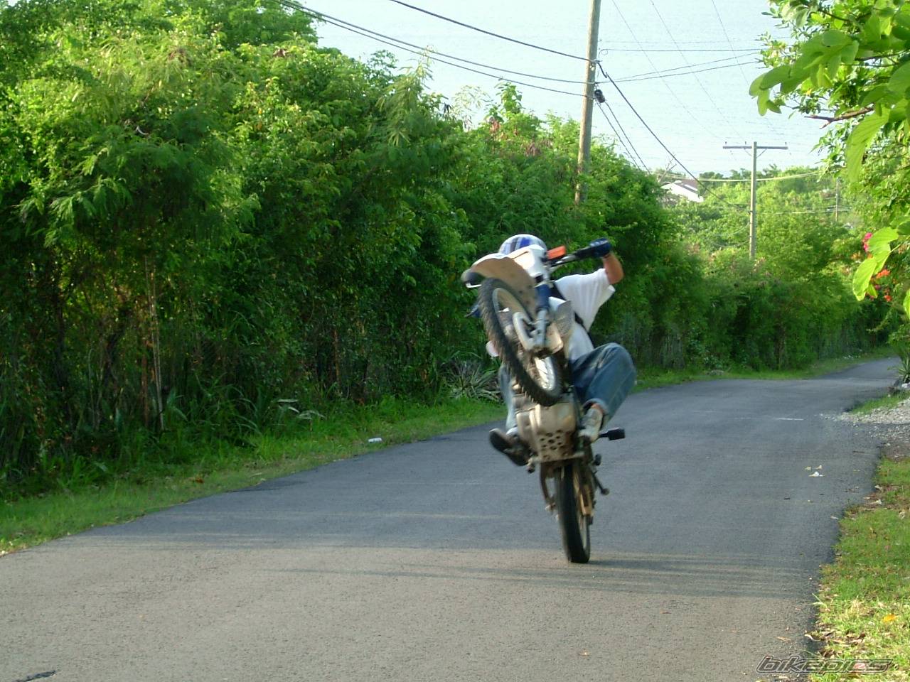 2000 YAMAHA XT 350 | Picture 380159 motorcycle photo