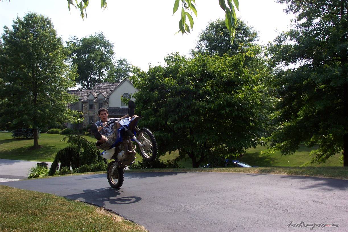 2001 YAMAHA TTR 125 | Picture 380246 motorcycle photo