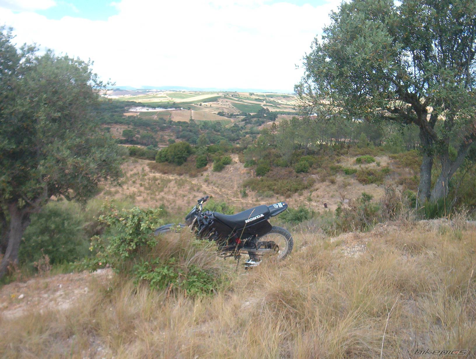 2005 HONDA CRM 50 | Picture 380470 motorcycle photo