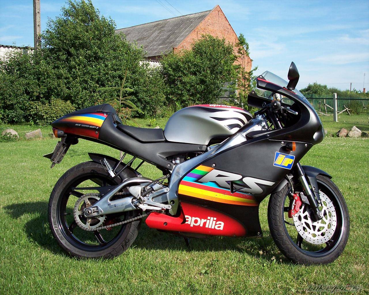 2003 APRILIA RS 125 | Picture 380553 motorcycle photo