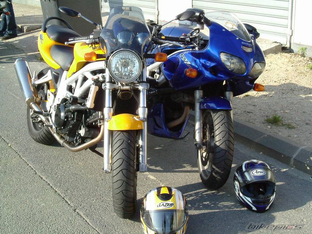 1998 SUZUKI SV 650 | Picture 381008 motorcycle photo