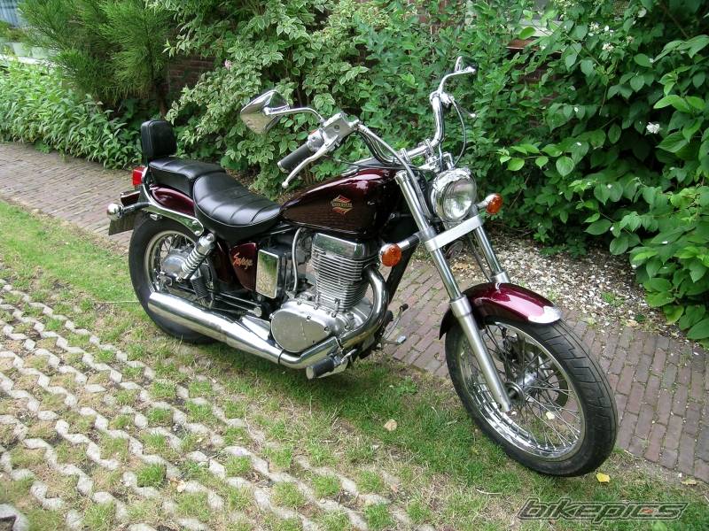 1990 SUZUKI SAVAGE | Picture 381313 motorcycle photo