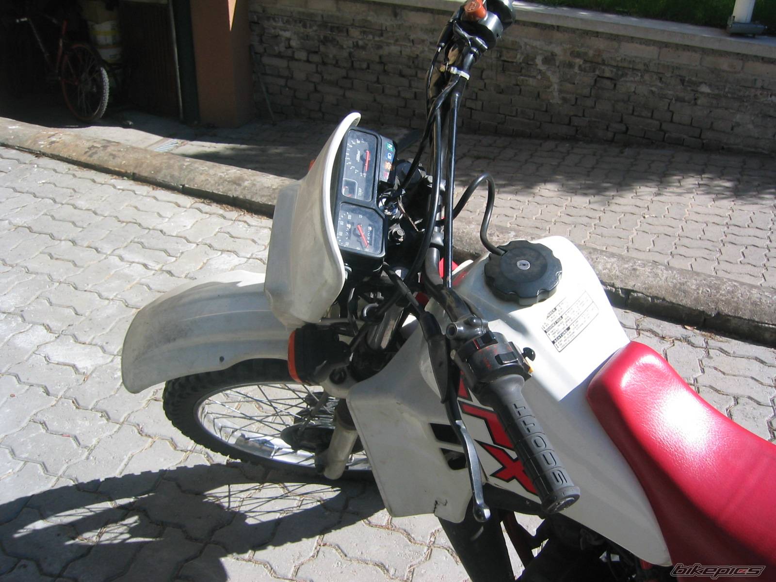 1987 HONDA MTX 80 | Picture 381836 motorcycle photo