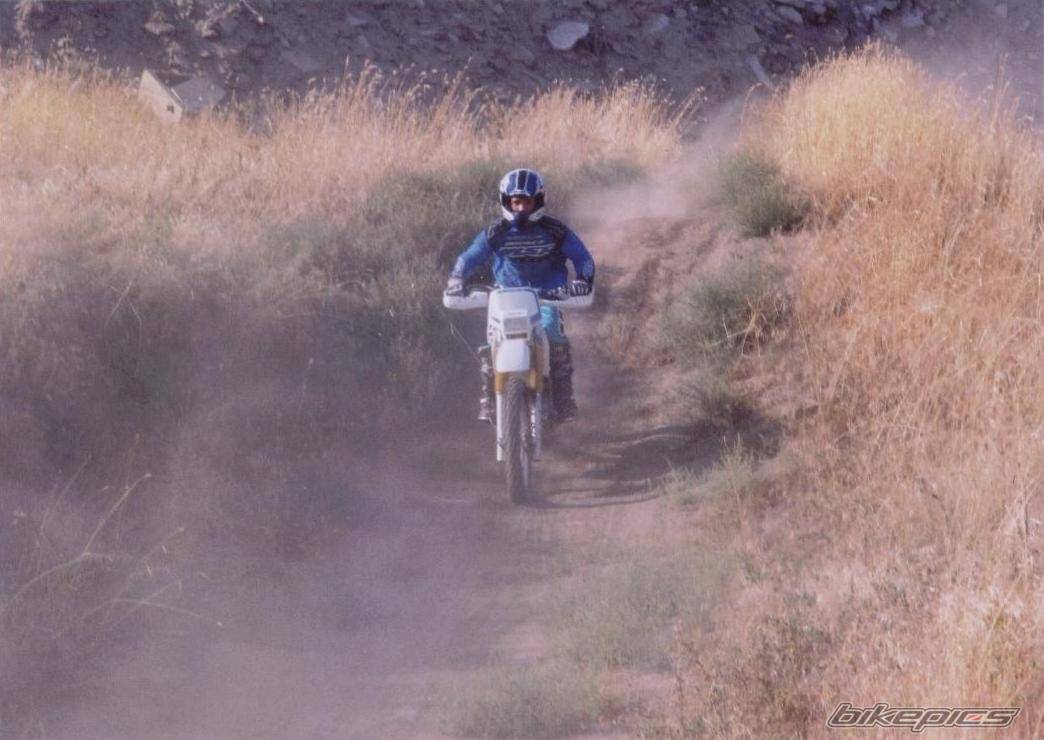 1996 SUZUKI DRZ 400 | Picture 38187 motorcycle photo
