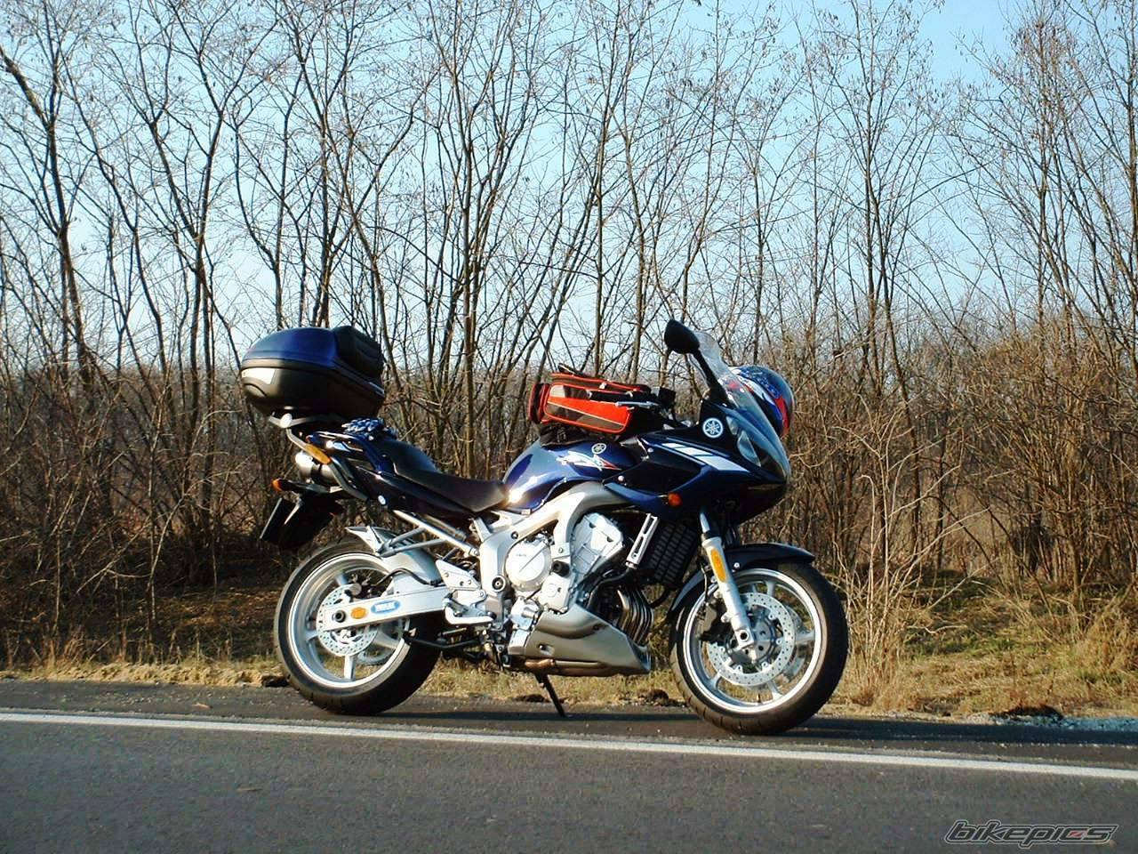 2005 YAMAHA FZ6 FAZER | Picture 382416 motorcycle photo