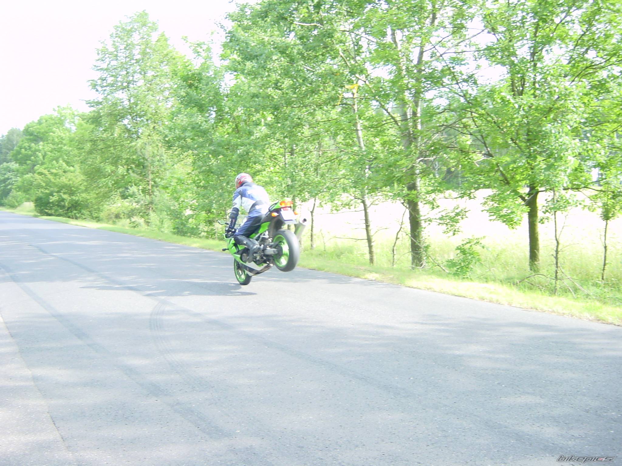    | Picture 382429 motorcycle photo