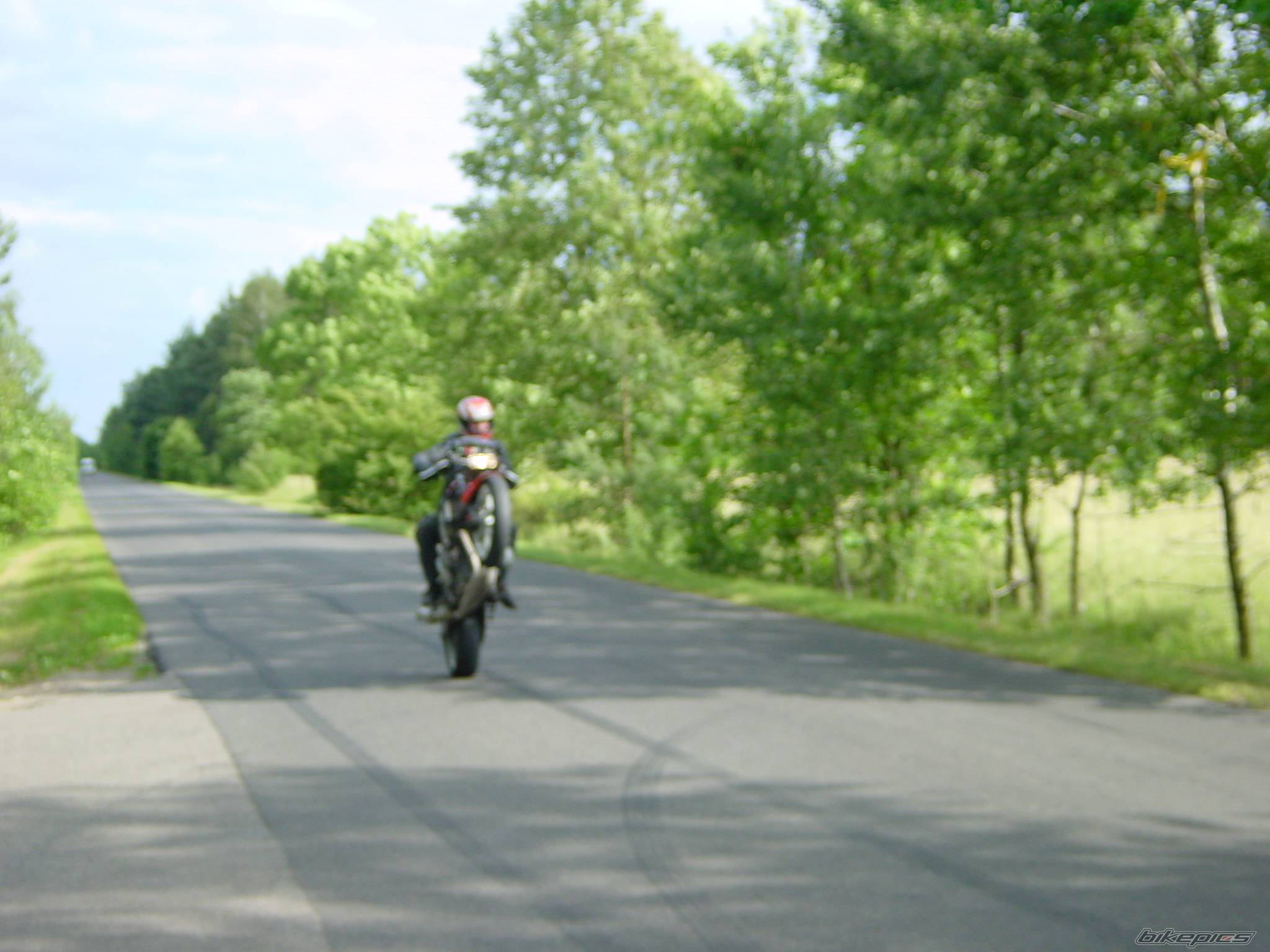    | Picture 382444 motorcycle photo