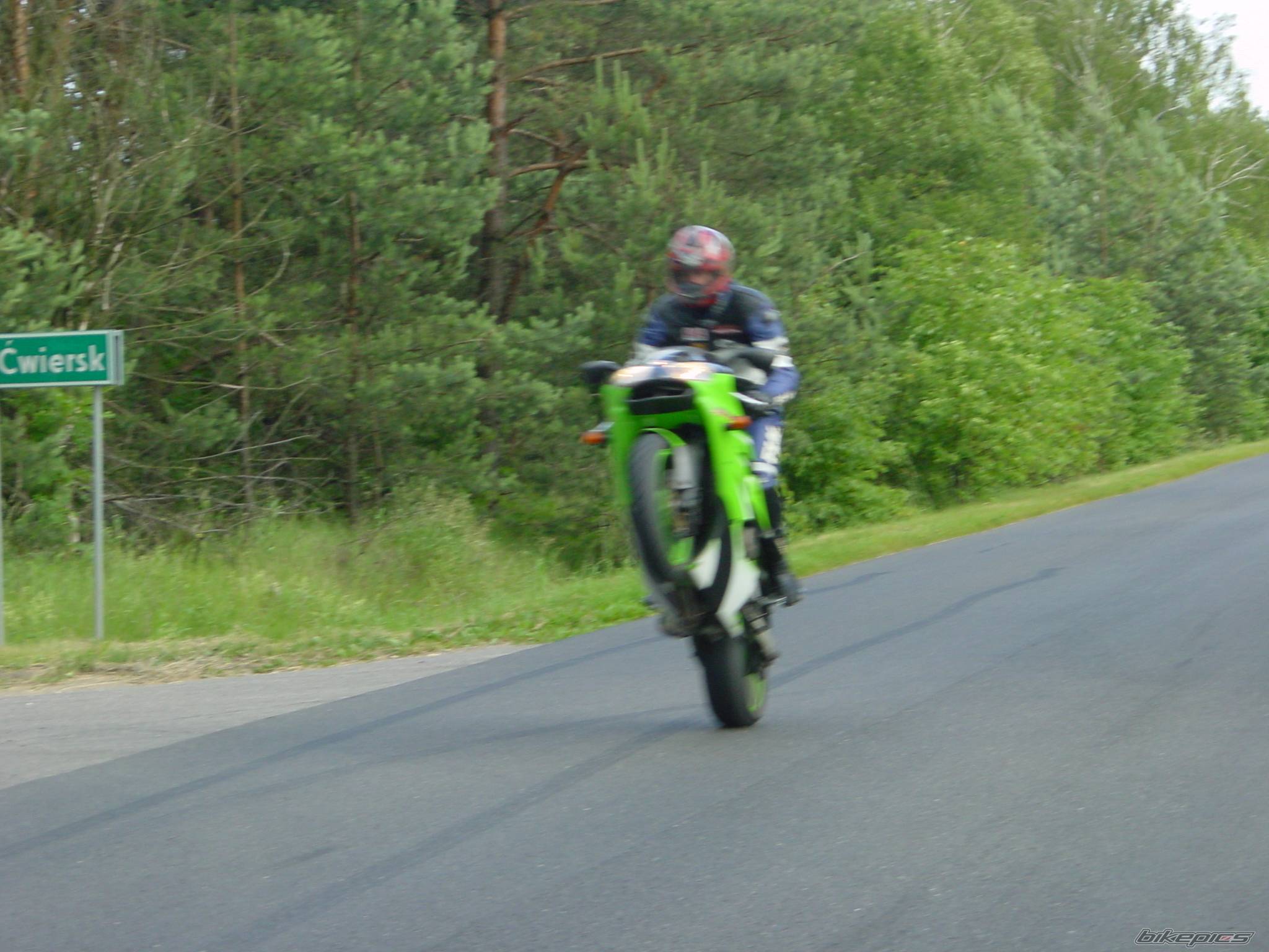    | Picture 382472 motorcycle photo