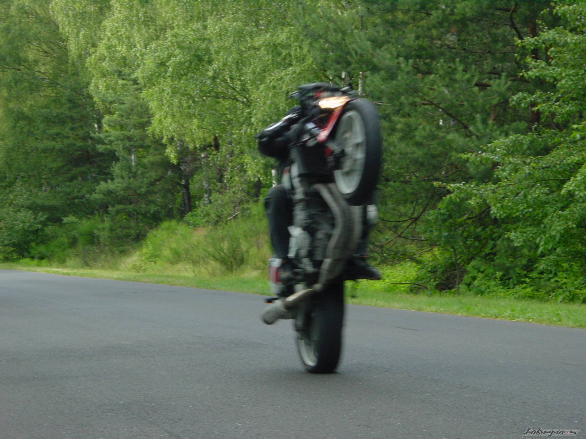    | Picture 382504 motorcycle photo