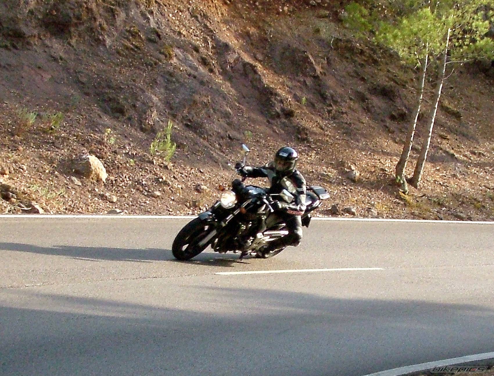 2004 HONDA CBF 600 | Picture 382722 motorcycle photo
