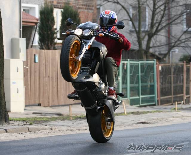 2004 BUELL XB12S LIGHTNING | Picture 383197 motorcycle photo