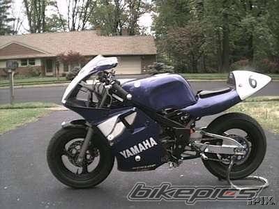 1989 YAMAHA YSR 50 | Picture 38344 motorcycle photo