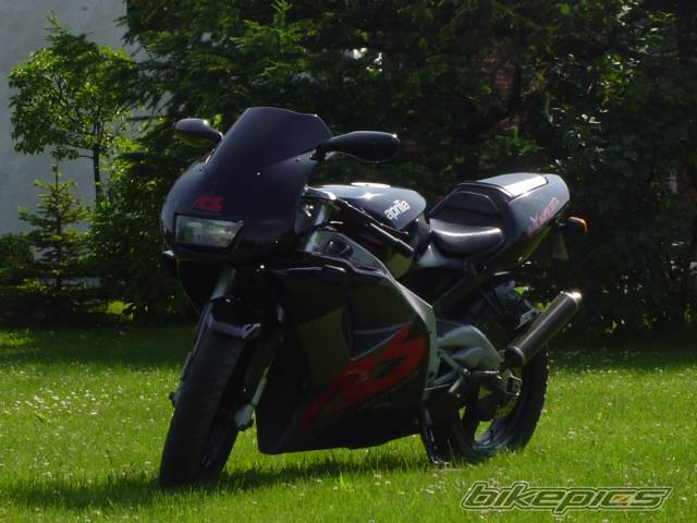1992 APRILIA RS 125 | Picture 384076 motorcycle photo