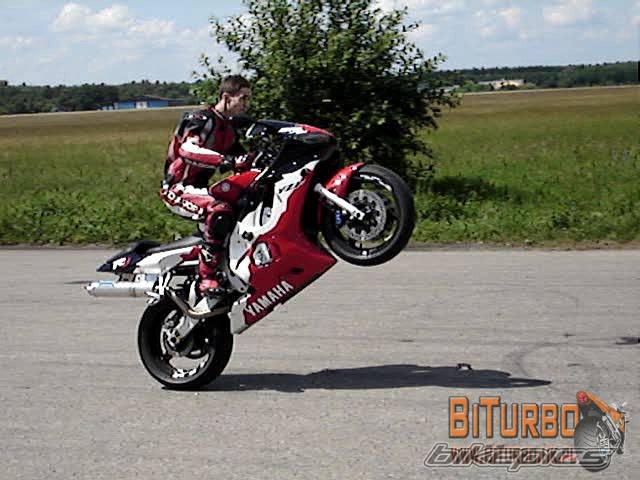 2005 YAMAHA YZF R6 | Picture 384213 motorcycle photo