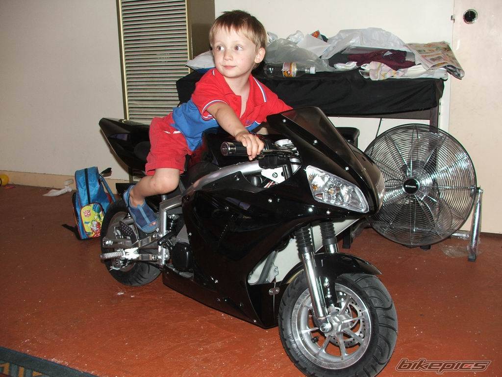 2005 CATEYE X7 49CC MINIMOTO | Picture 385052 motorcycle photo