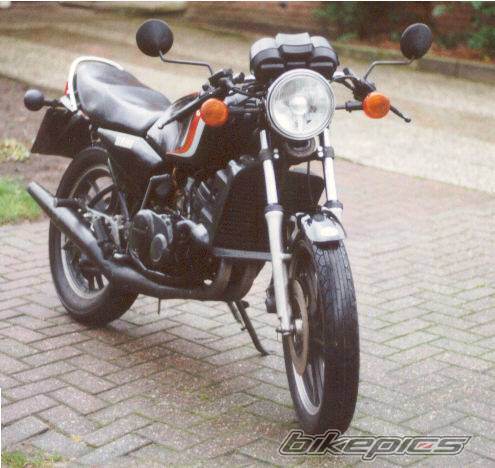 1981 YAMAHA RD 250 | Picture 38536 motorcycle photo