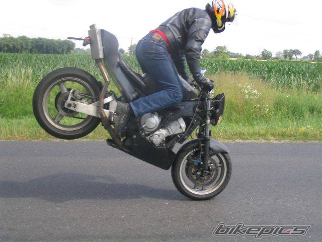2000 YAMAHA YZF R6 | Picture 385598 motorcycle photo