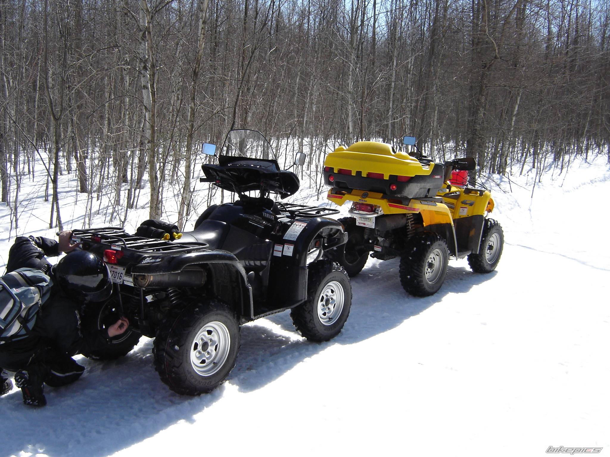 2005 YAMAHA GRIZZLY | Picture 385833 motorcycle photo