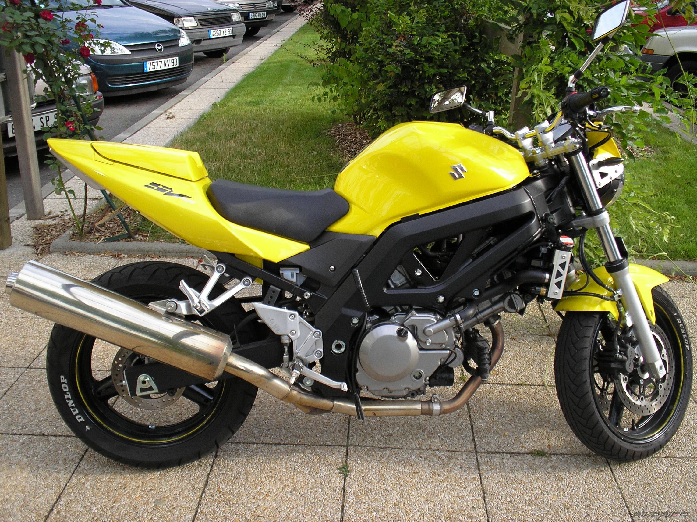 2005 SUZUKI SV 650 | Picture 386044 motorcycle photo