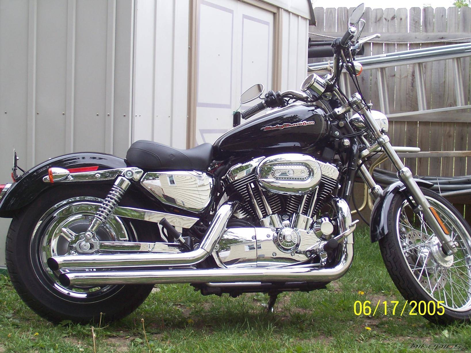 2005 HARLEY DAVIDSON XL 1200 C | Picture 386123 motorcycle photo