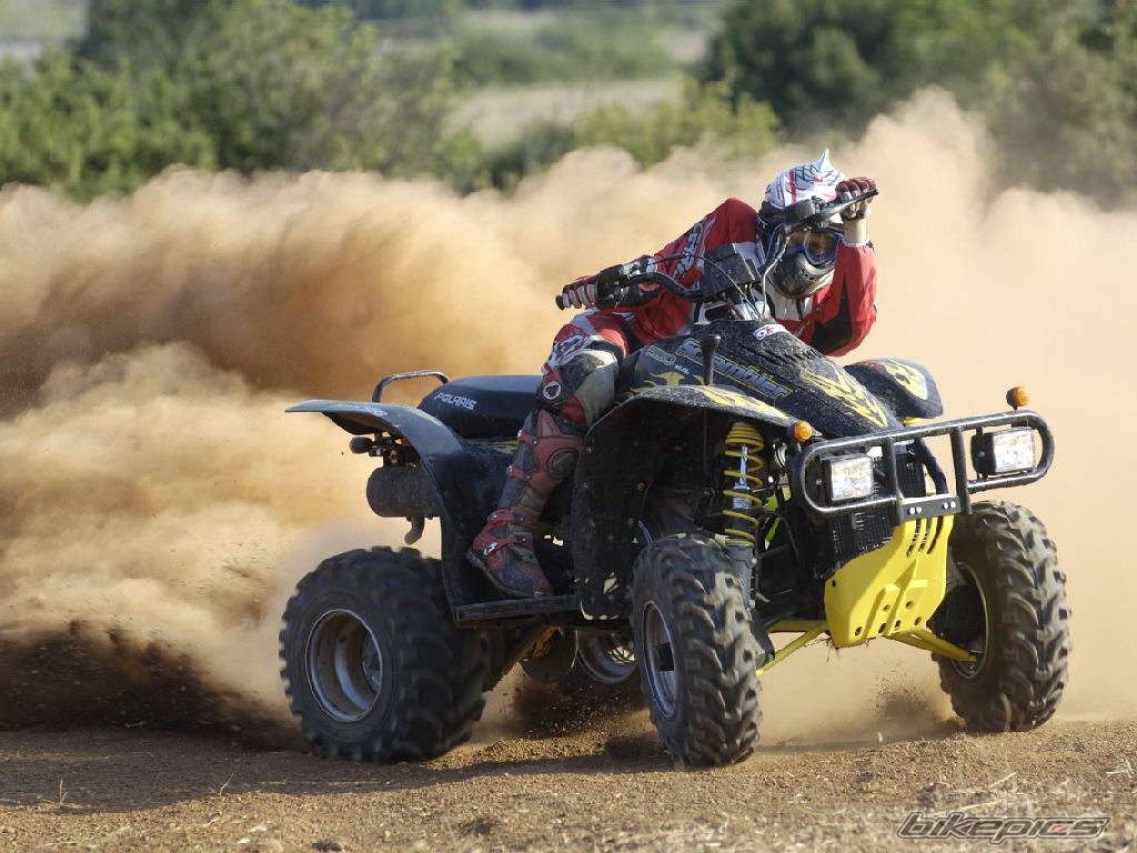 2005 POLARIS SCRAMBLER 500 | Picture 386211 motorcycle photo