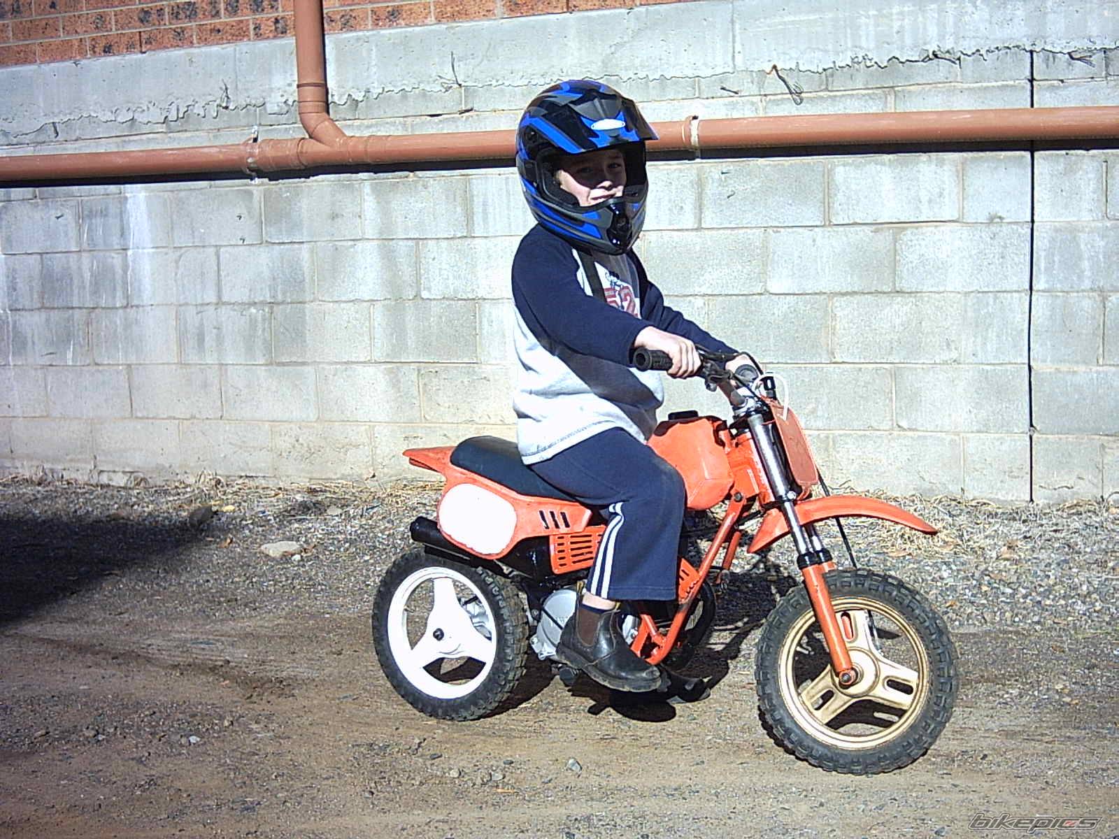 1998 YAMAHA PW 50 | Picture 386212 motorcycle photo