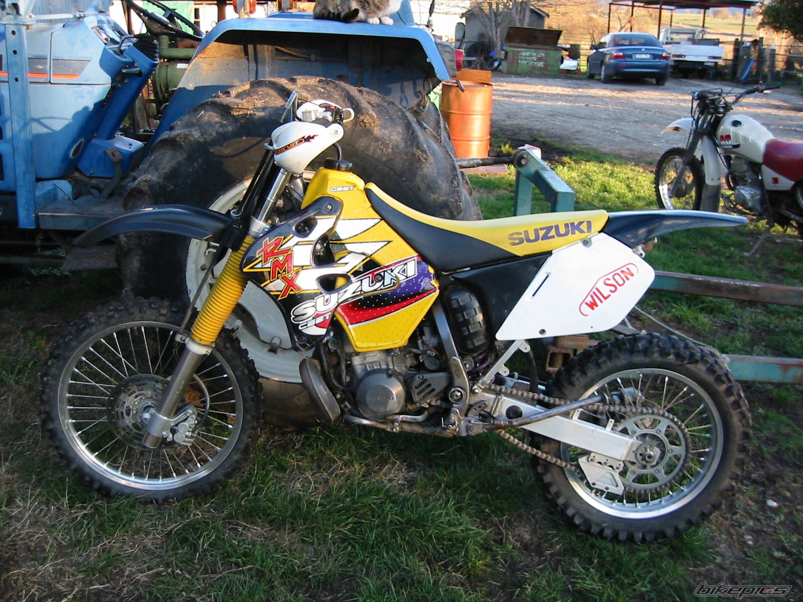 1998 SUZUKI RMX 250 | Picture 386213 motorcycle photo