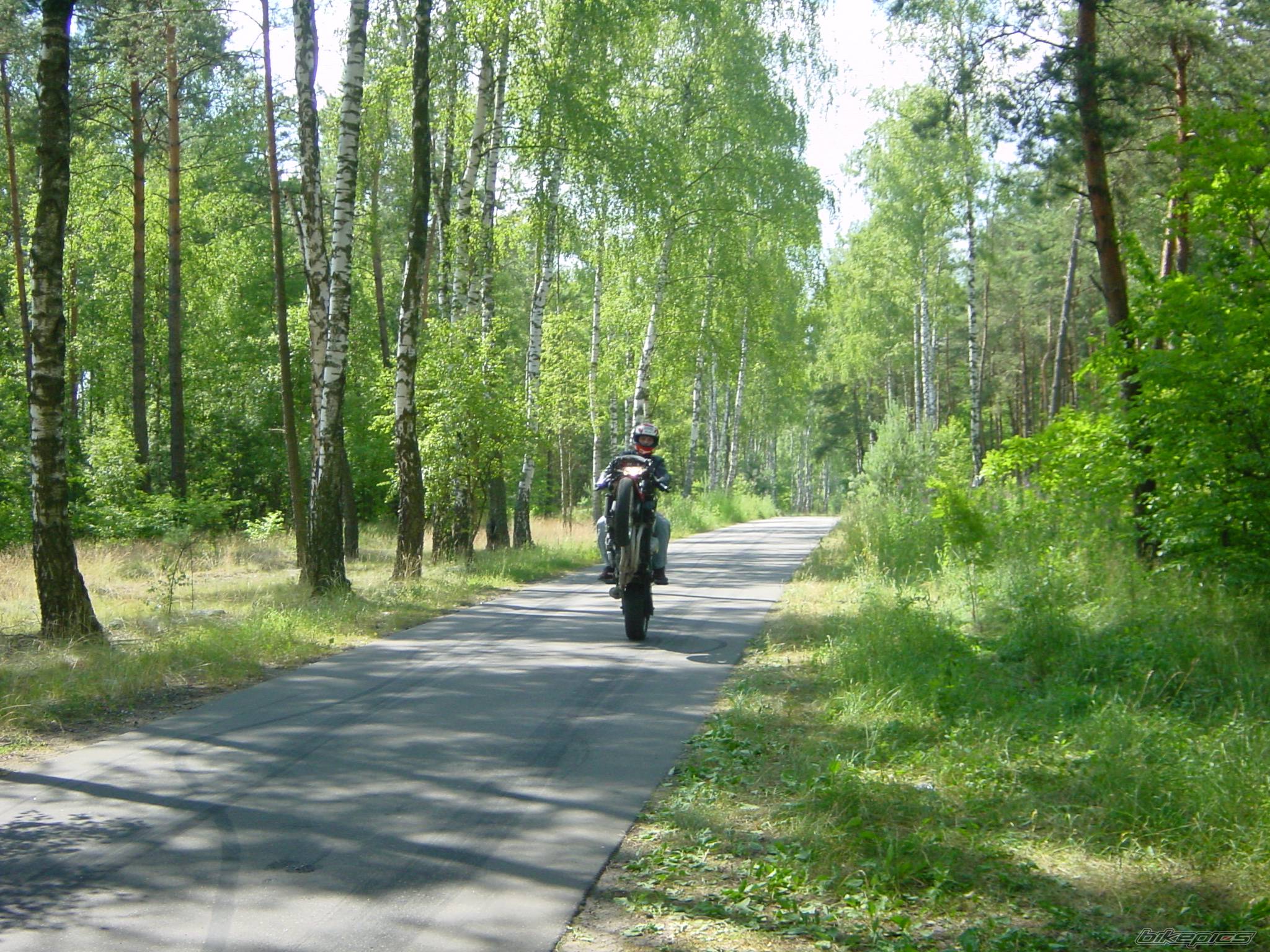   | Picture 386250 motorcycle photo