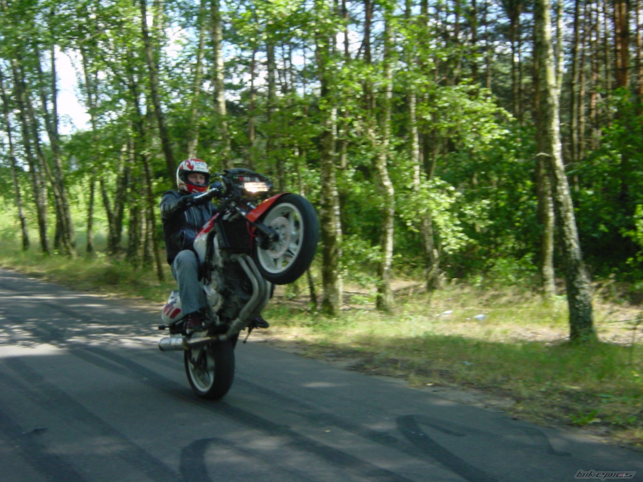    | Picture 386257 motorcycle photo