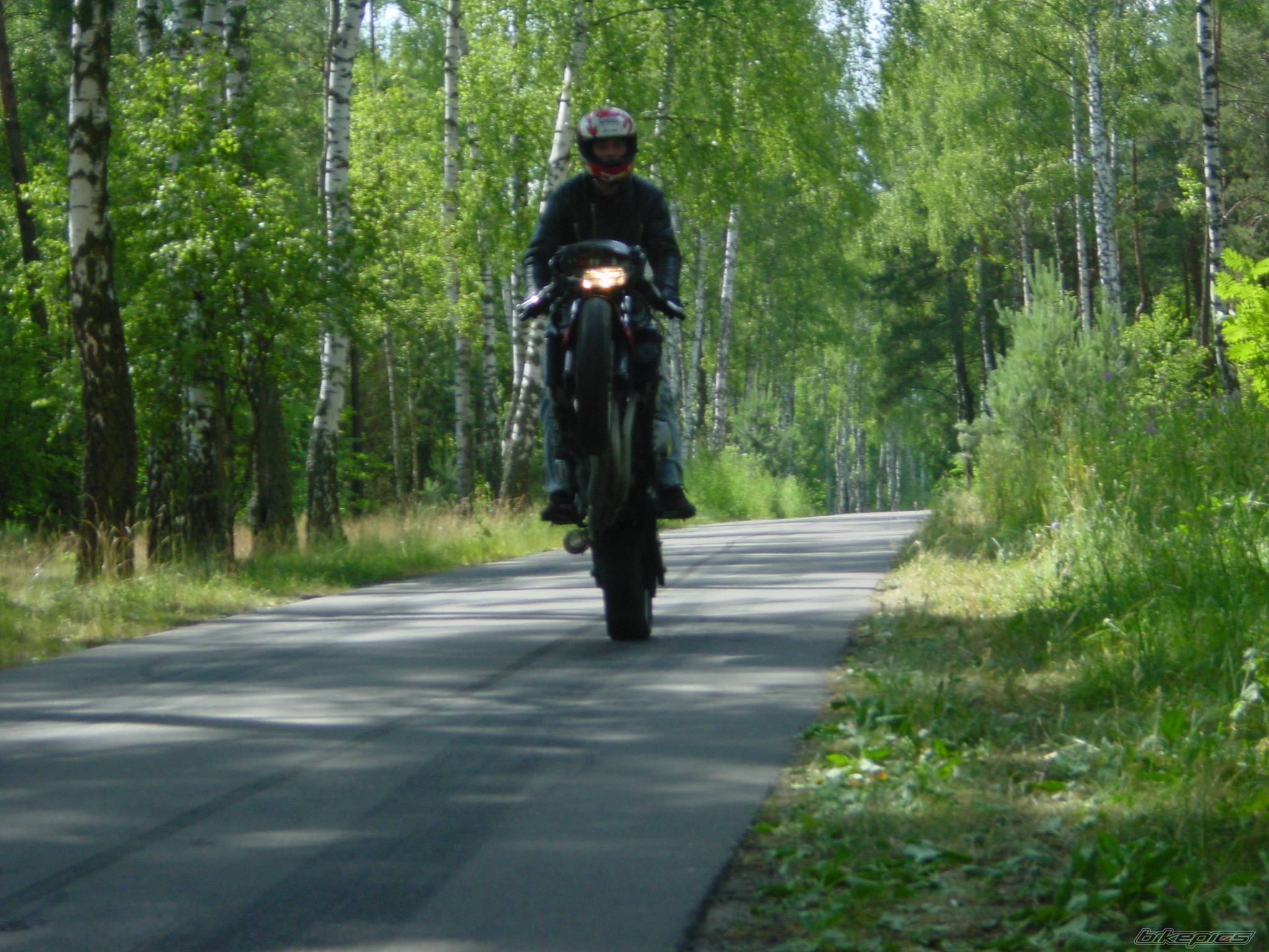    | Picture 386264 motorcycle photo