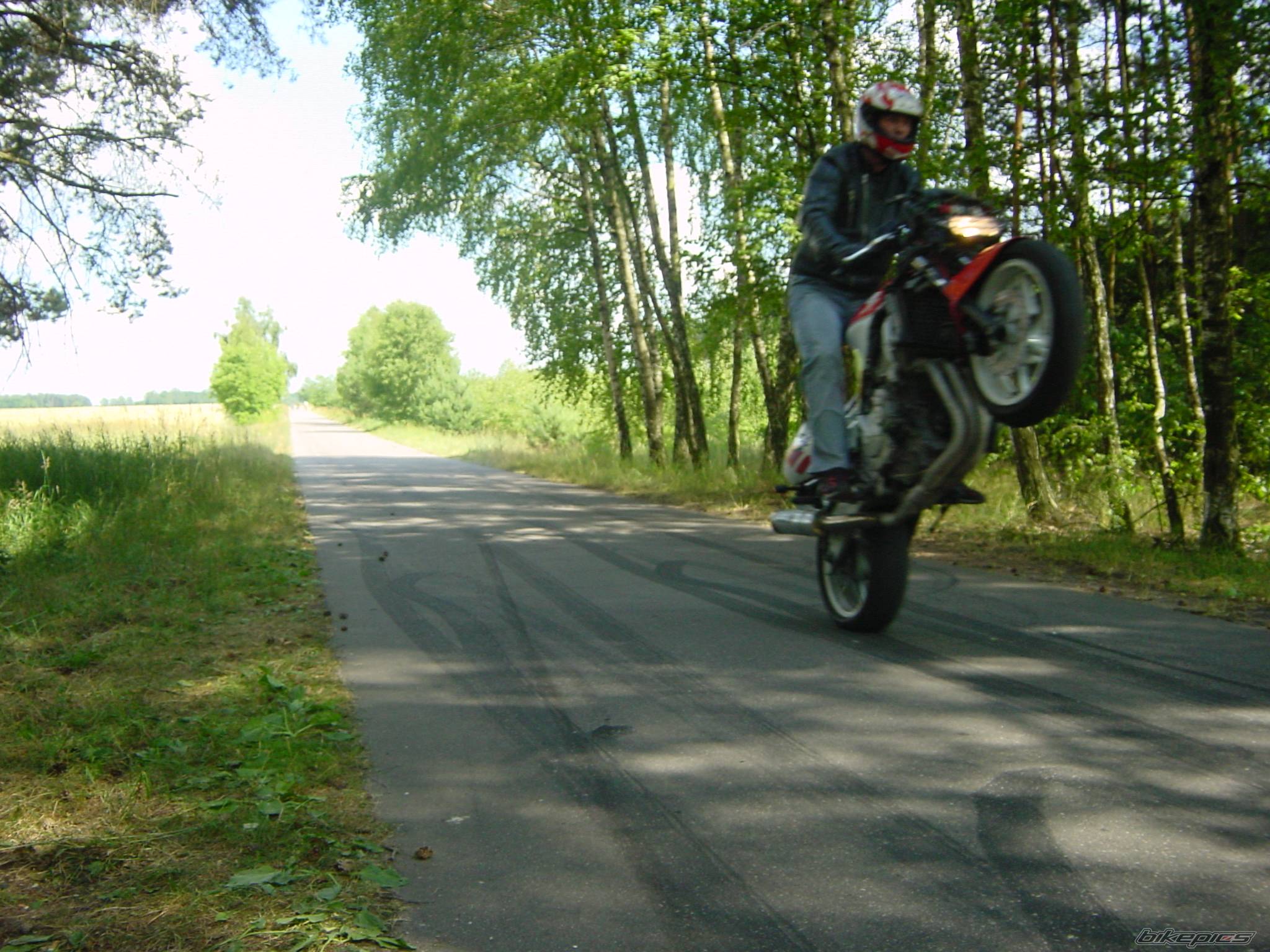    | Picture 386266 motorcycle photo