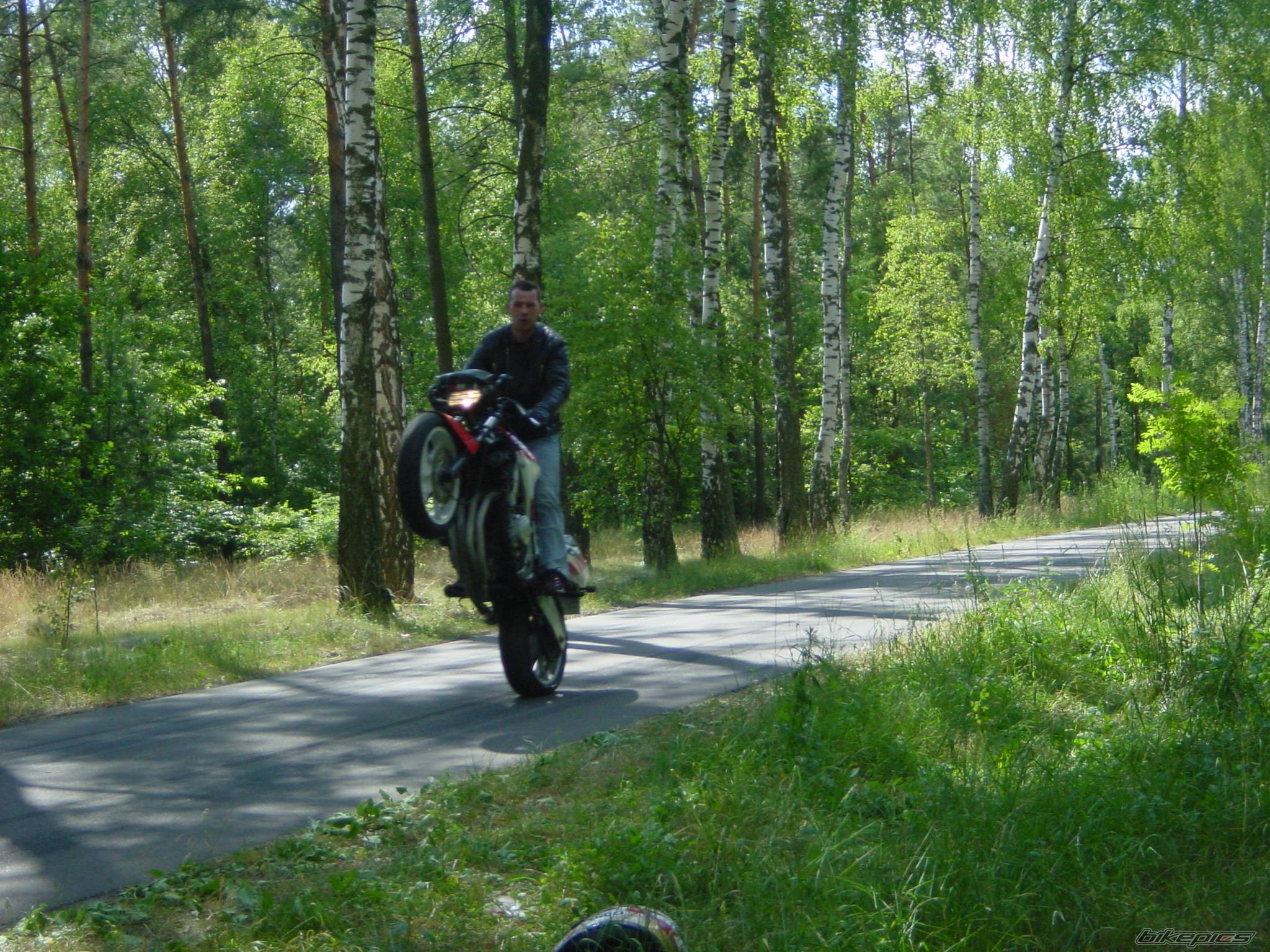    | Picture 386270 motorcycle photo