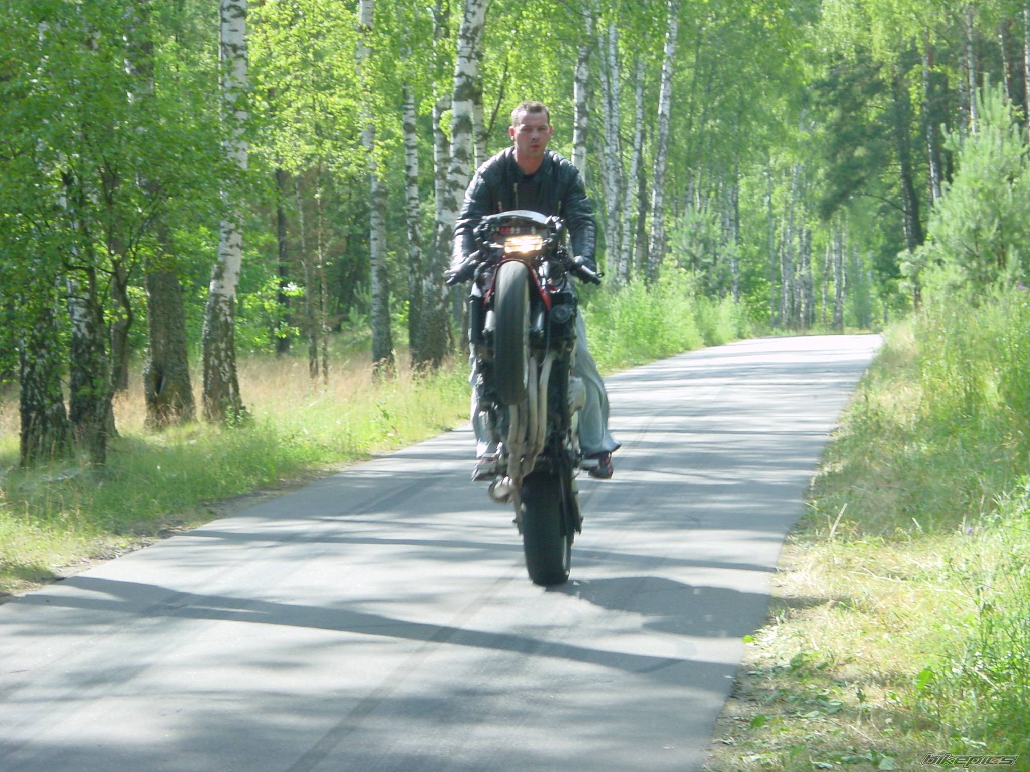    | Picture 386272 motorcycle photo