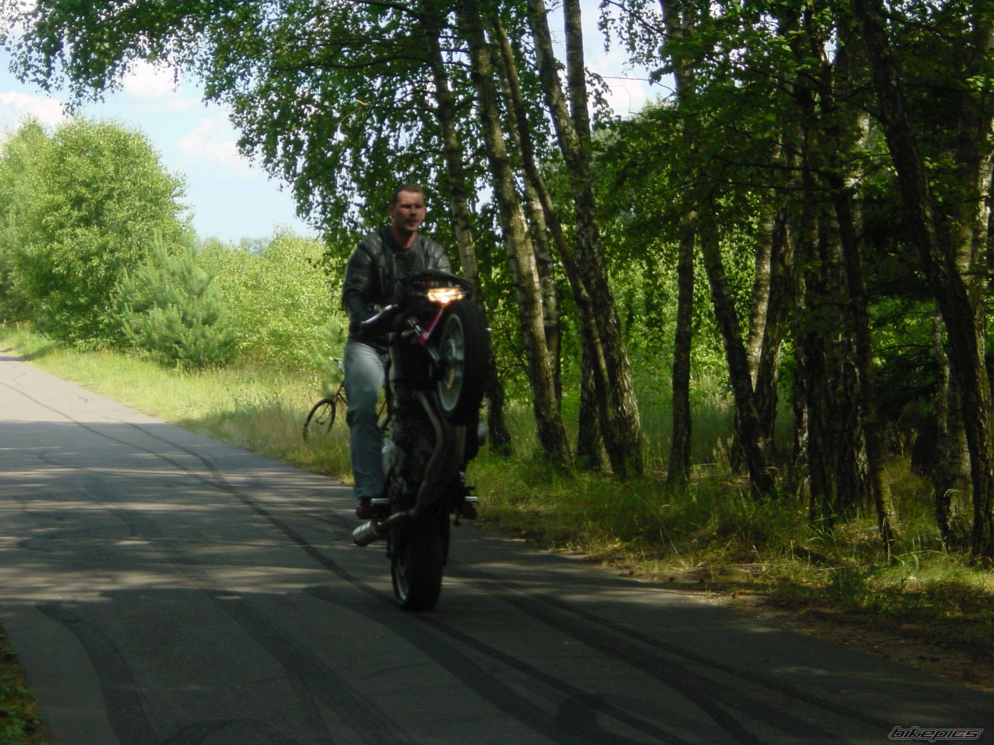    | Picture 386273 motorcycle photo