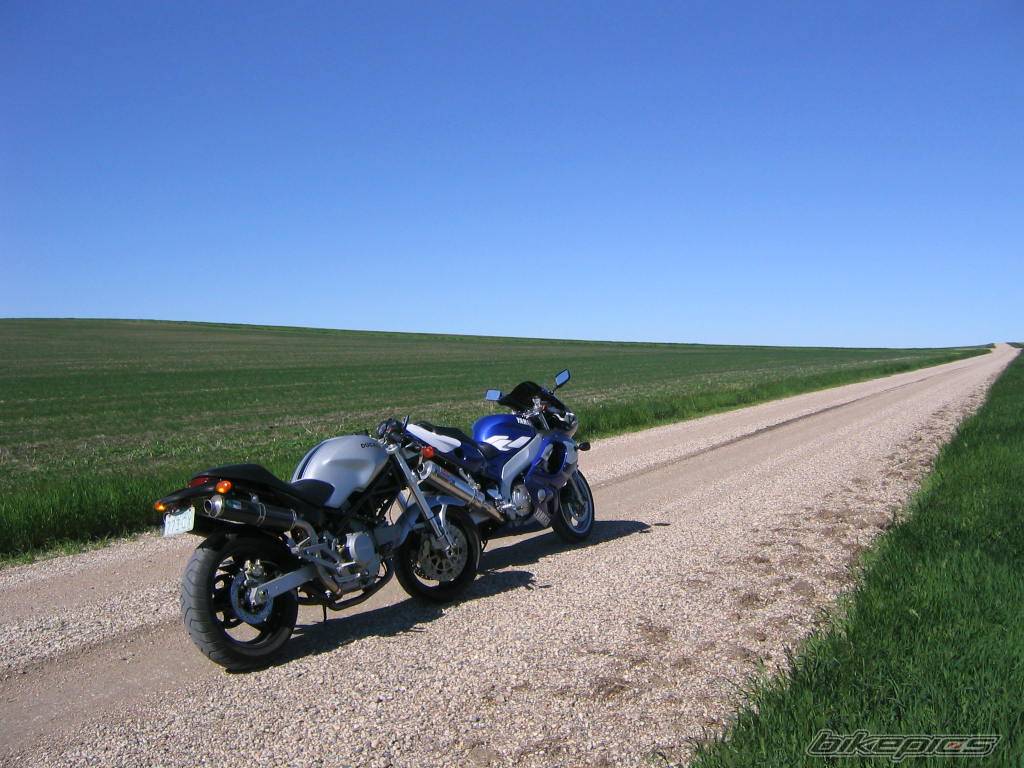 1998 YAMAHA YZF 600 | Picture 387215 motorcycle photo