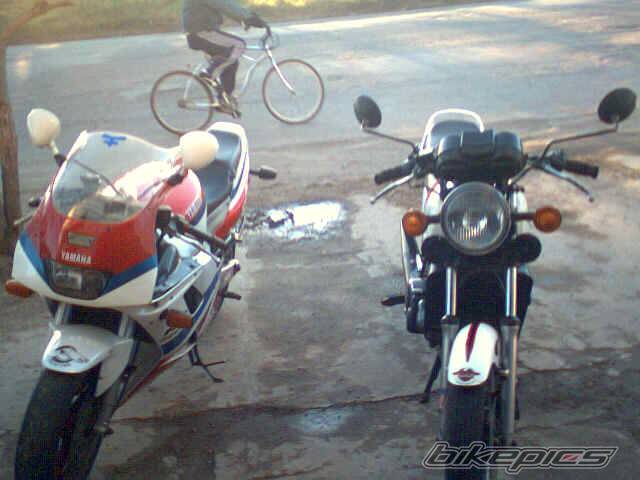 1981 YAMAHA RD 350 | Picture 387484 motorcycle photo