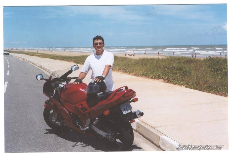 1996 SUZUKI RF 900 | Picture 3876 motorcycle photo