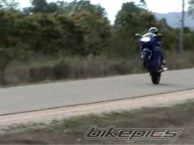 2002 HONDA CBR 1100 BLACKBIRD | Picture 388056 motorcycle photo