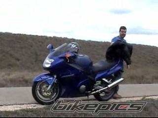 2002 HONDA CBR 1100 BLACKBIRD | Picture 388057 motorcycle photo